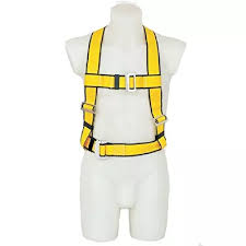 a half-body harness